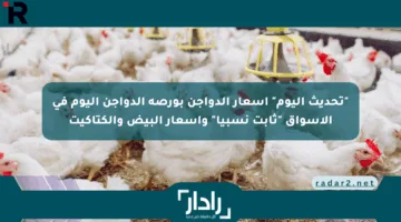 “تحديث اليوم” أسعار الدواجن بورصة الدواجن اليوم في الأسواق “ثابت نسبيا” وأسعار البيض والكتاكيت